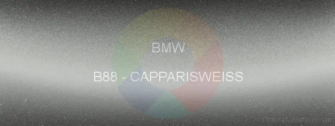 Pintura Bmw B88 Capparisweiss