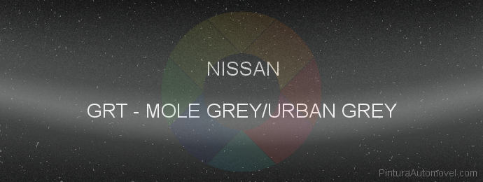 Pintura Nissan GRT Mole Grey/urban Grey