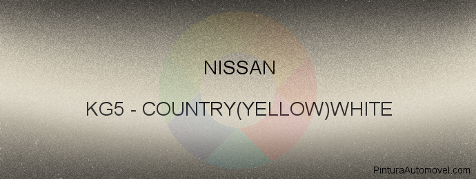 Pintura Nissan KG5 Country(yellow)white