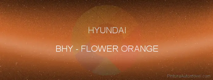 Pintura Hyundai BHY Flower Orange