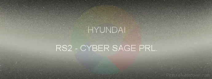 Pintura Hyundai RS2 Cyber Sage Prl.