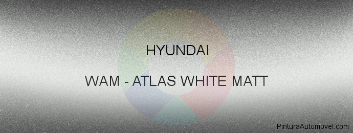 Pintura Hyundai WAM Atlas White Matt