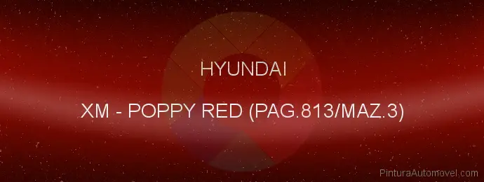 Pintura Hyundai XM Poppy Red (pag.813/maz.3)