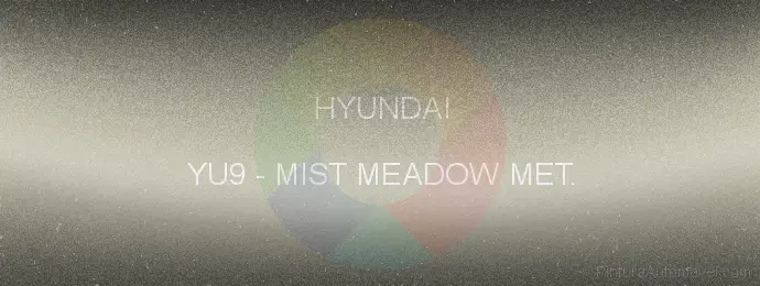 Pintura Hyundai YU9 Mist Meadow Met.