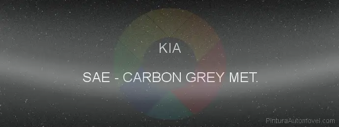 Pintura Kia SAE Carbon Grey Met.