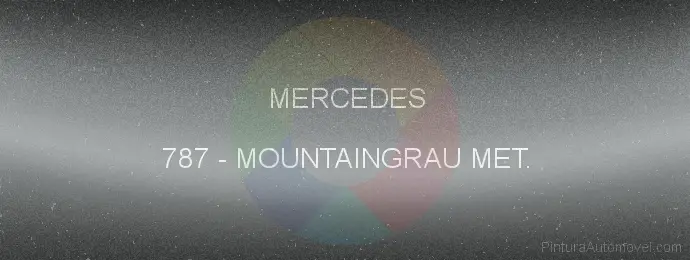 Pintura Mercedes 787 Mountaingrau Met.