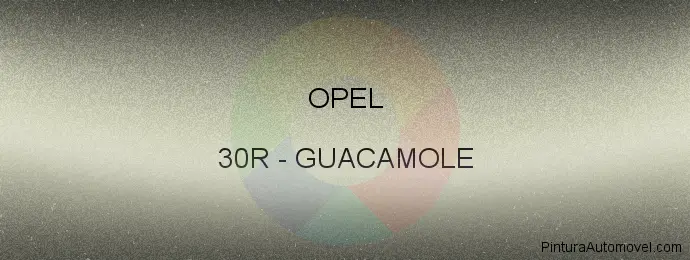 Pintura Opel 30R Guacamole