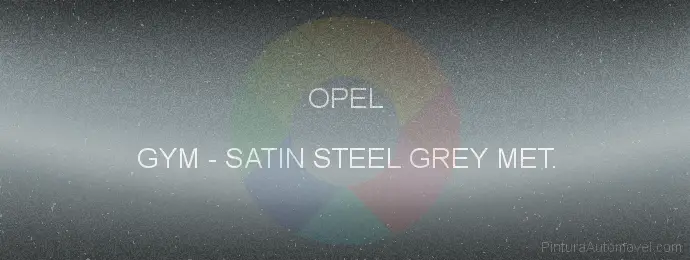 Pintura Opel GYM Satin Steel Grey Met.