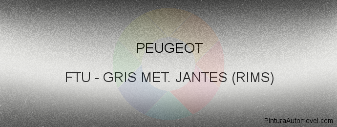 Pintura Peugeot FTU Gris Met. Jantes (rims)