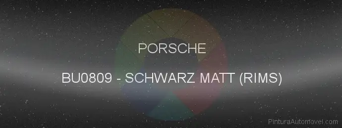 Pintura Porsche BU0809 Schwarz Matt (rims)
