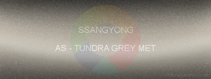 Pintura Ssangyong AS Tundra Grey Met.