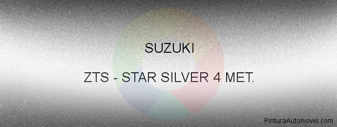 Pintura Suzuki ZTS Star Silver 4 Met.