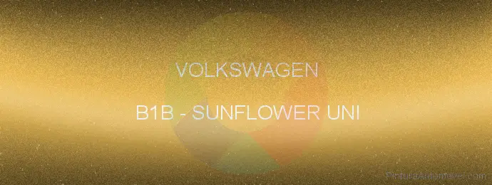 Pintura Volkswagen B1B Sunflower Uni