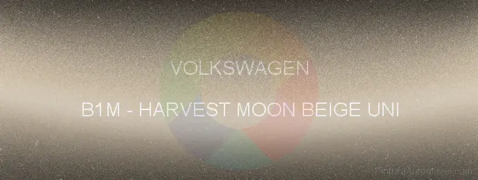 Pintura Volkswagen B1M Harvest Moon Beige Uni