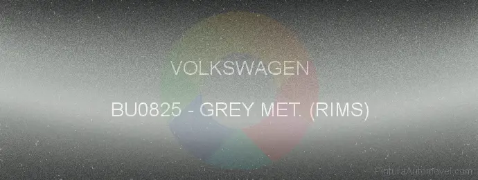 Pintura Volkswagen BU0825 Grey Met. (rims)