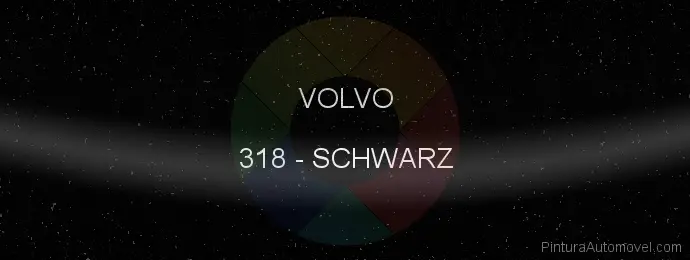 Pintura Volvo 318 Schwarz